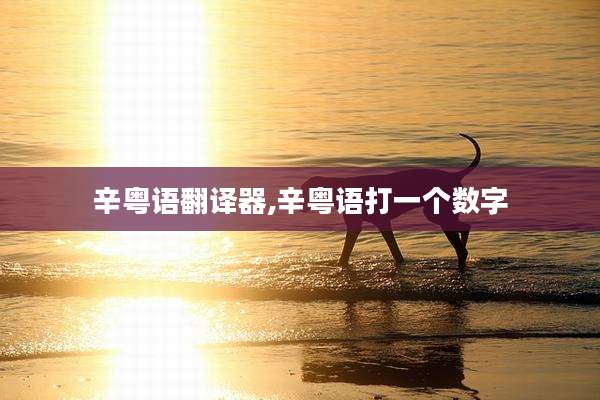 辛粤语翻译器,辛粤语打一个数字