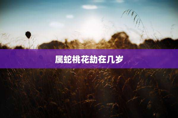 属蛇桃花劫在几岁