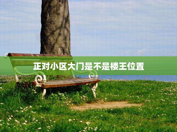 正对小区大门是不是楼王位置