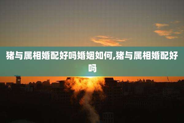 猪与属相婚配好吗婚姻如何,猪与属相婚配好吗