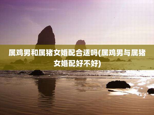 属鸡男和属猪女婚配合适吗(属鸡男与属猪女婚配好不好)