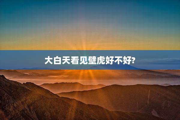 大白天看见壁虎好不好?