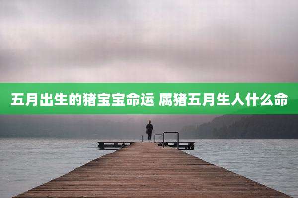五月出生的猪宝宝命运 属猪五月生人什么命