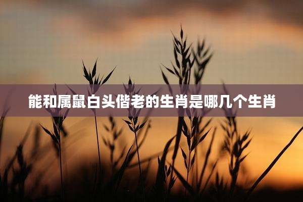能和属鼠白头偕老的生肖是哪几个生肖