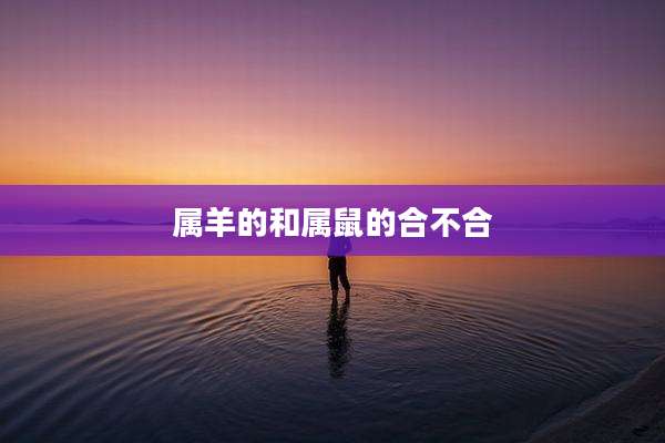 属羊的和属鼠的合不合