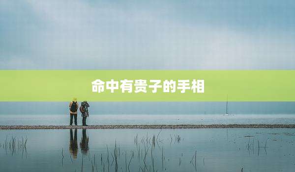 命中有贵子的手相