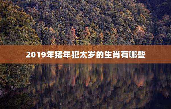 2019年猪年犯太岁的生肖有哪些