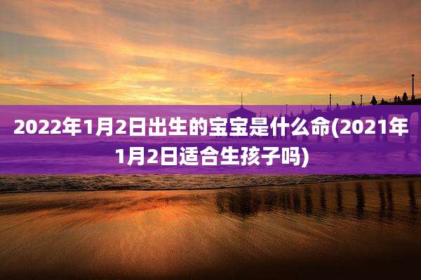 2022年1月2日出生的宝宝是什么命(2021年1月2日适合生孩子吗)