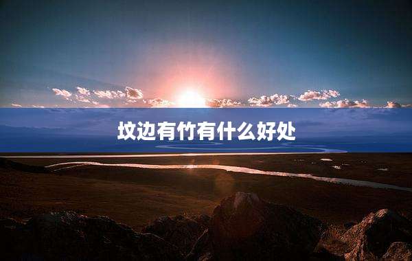 坟边有竹有什么好处