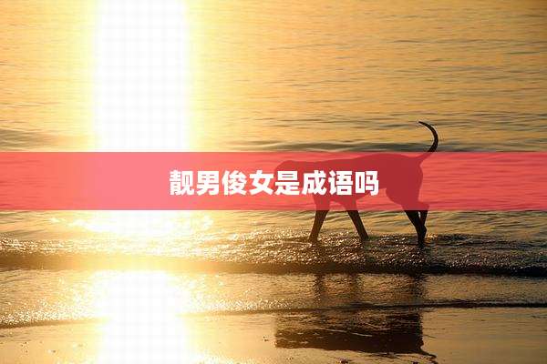 靓男俊女是成语吗