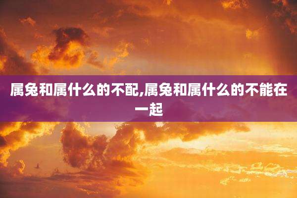 属兔和属什么的不配,属兔和属什么的不能在一起