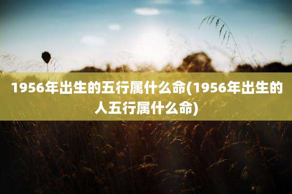 1956年出生的五行属什么命(1956年出生的人五行属什么命)