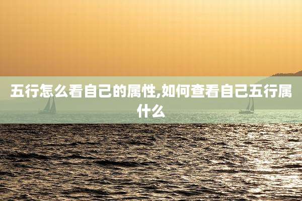五行怎么看自己的属性,如何查看自己五行属什么