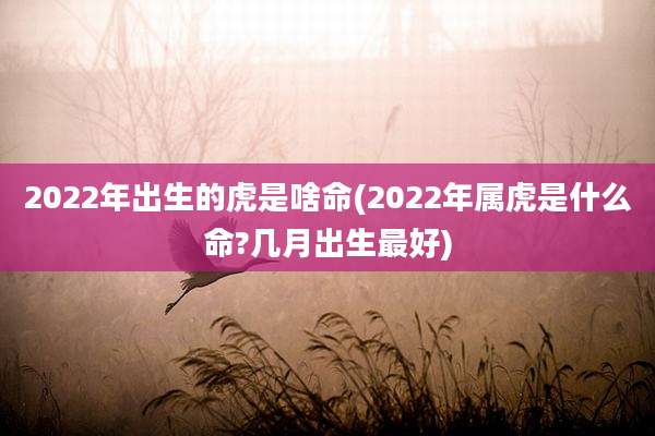 2022年出生的虎是啥命(2022年属虎是什么命?几月出生最好)