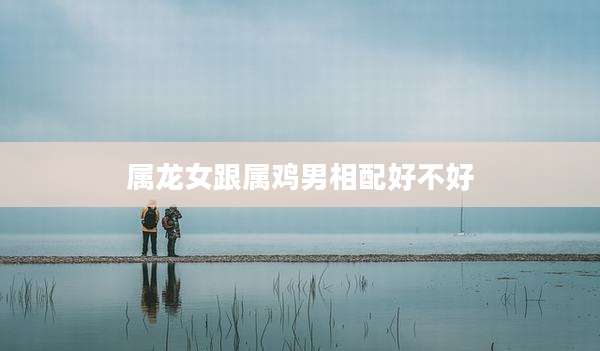 属龙女跟属鸡男相配好不好