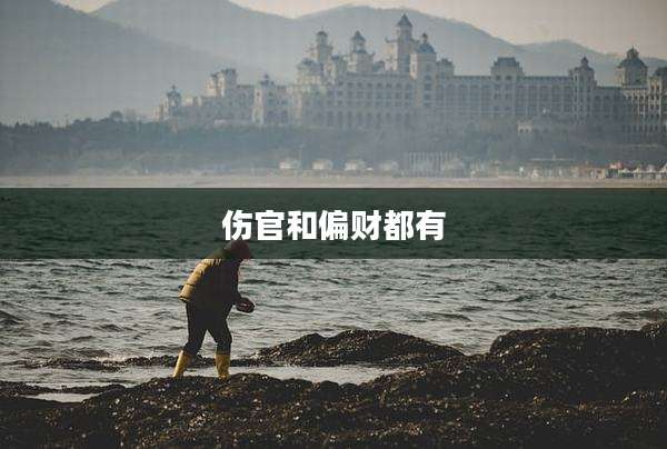 伤官和偏财都有