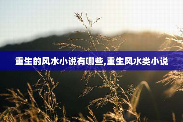 重生的风水小说有哪些,重生风水类小说
