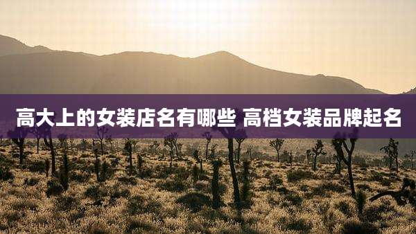 高大上的女装店名有哪些 高档女装品牌起名