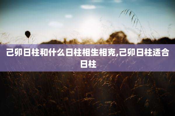 己卯日柱和什么日柱相生相克,己卯日柱适合日柱