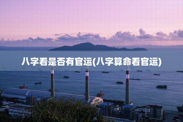 八字看是否有官运(八字算命看官运)