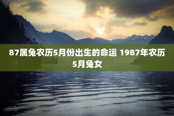 87属兔农历5月份出生的命运 1987年农历5月兔女