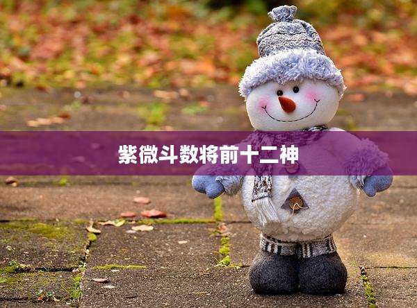 紫微斗数将前十二神