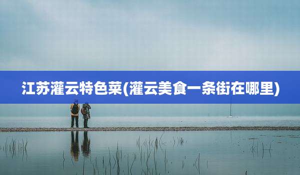 江苏灌云特色菜(灌云美食一条街在哪里)