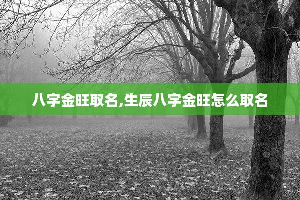 八字金旺取名,生辰八字金旺怎么取名