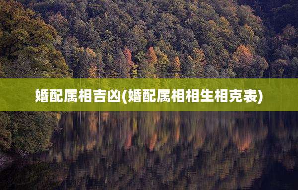 婚配属相吉凶(婚配属相相生相克表)
