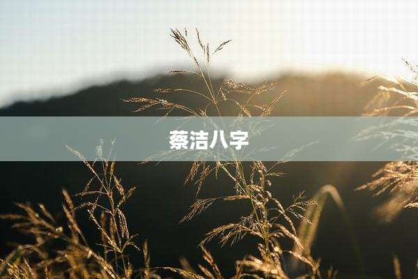 蔡洁八字