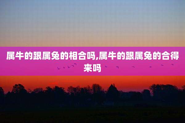 属牛的跟属兔的相合吗,属牛的跟属兔的合得来吗