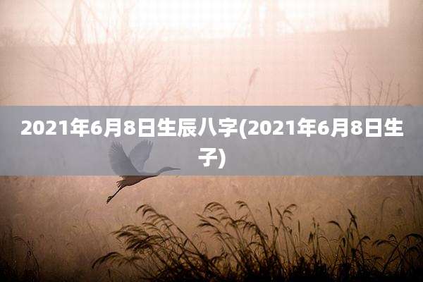 2021年6月8日生辰八字(2021年6月8日生子)