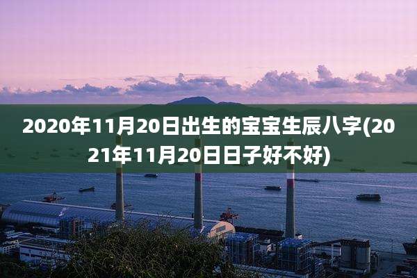 2020年11月20日出生的宝宝生辰八字(2021年11月20日日子好不好)