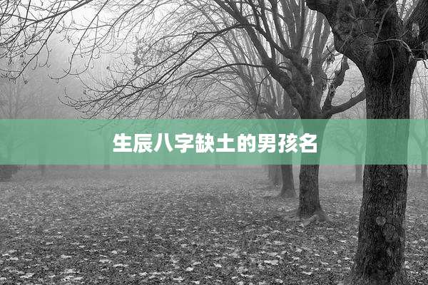 生辰八字缺土的男孩名