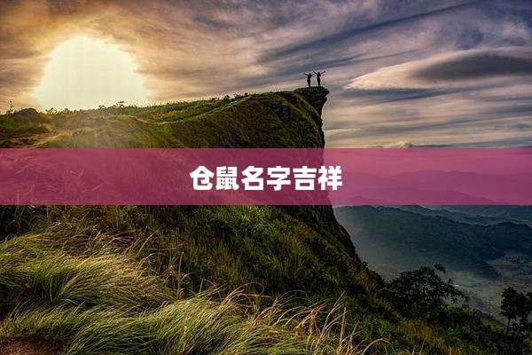 仓鼠名字吉祥