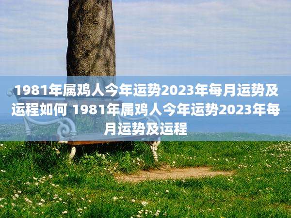 1981年属鸡人今年运势2023年每月运势及运程如何 1981年属鸡人今年运势2023年每月运势及运程
