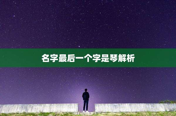 名字最后一个字是琴解析