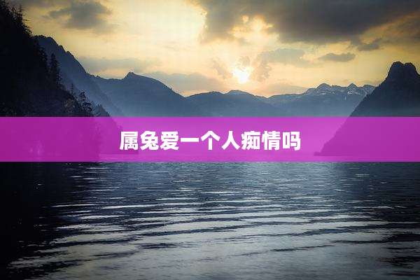 属兔爱一个人痴情吗