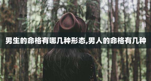 男生的命格有哪几种形态,男人的命格有几种