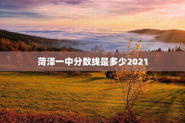 菏泽一中分数线是多少2021