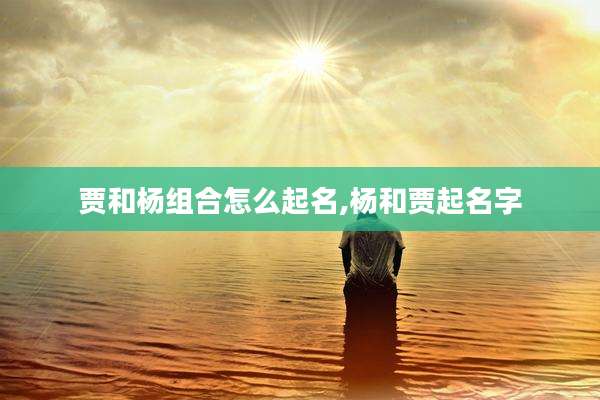 贾和杨组合怎么起名,杨和贾起名字