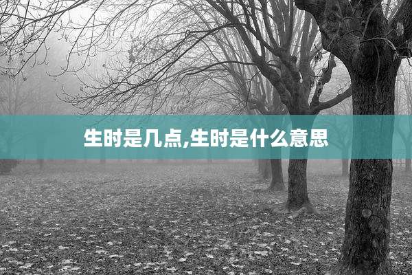 生时是几点,生时是什么意思
