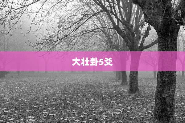 大壮卦5爻