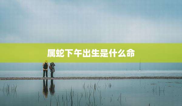 属蛇下午出生是什么命