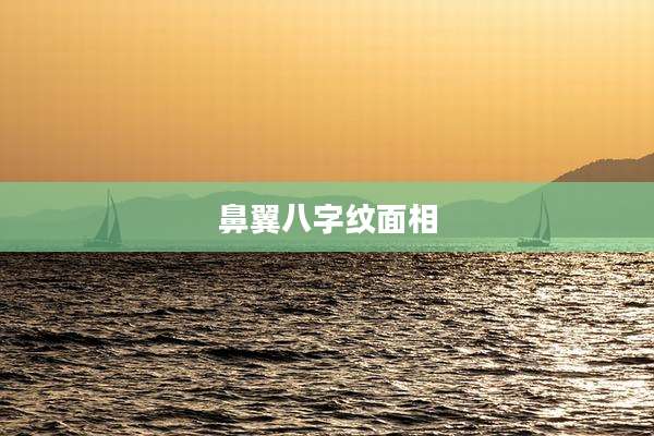 鼻翼八字纹面相