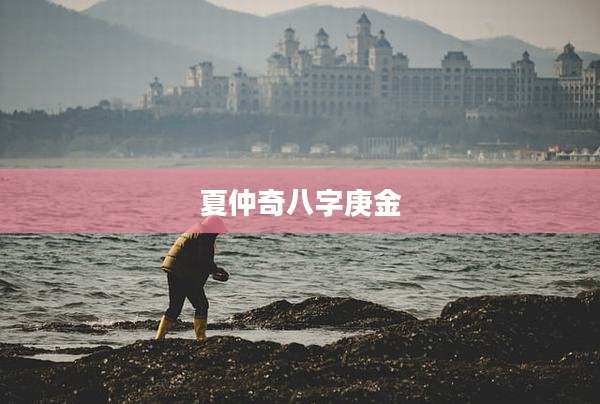 夏仲奇八字庚金