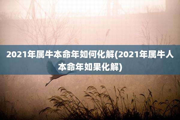 2021年属牛本命年如何化解(2021年属牛人本命年如果化解)
