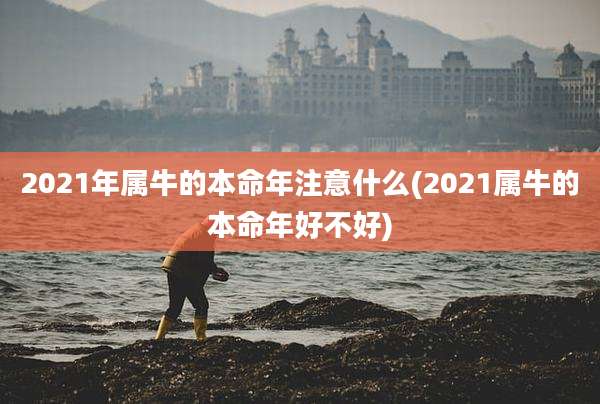 2021年属牛的本命年注意什么(2021属牛的本命年好不好)