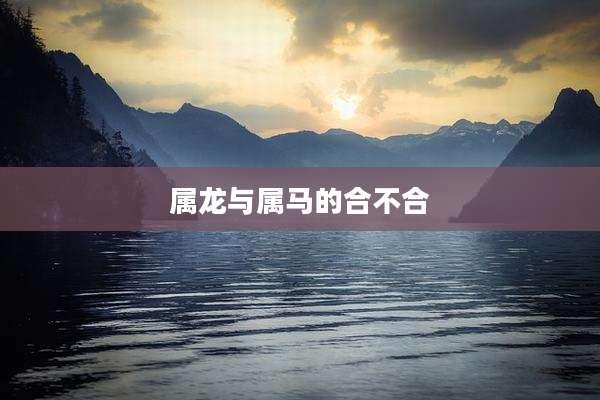 属龙与属马的合不合
