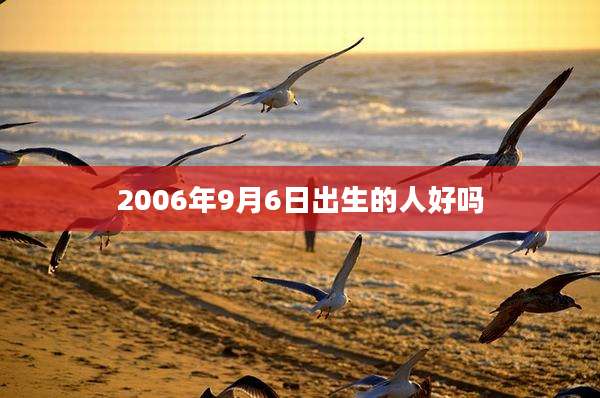 2006年9月6日出生的人好吗